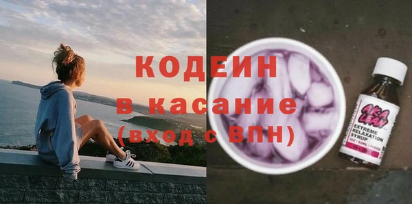 стаф Бородино