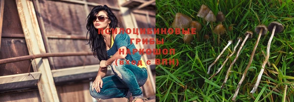 спиды Вяземский