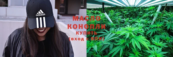 спиды Вяземский