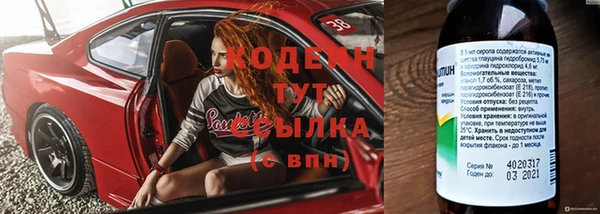 спиды Вяземский