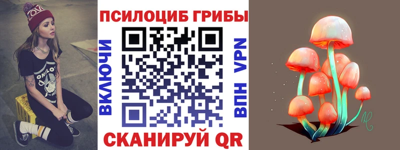 Псилоцибиновые грибы мухоморы  закладки  KRAKEN рабочий сайт  Зубцов 